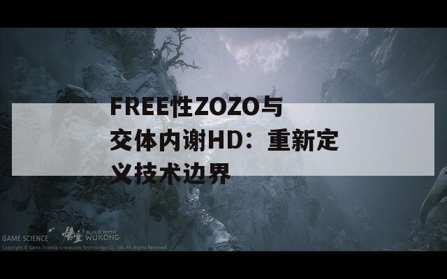 FREE性ZOZO与交体内谢HD：重新定义技术边界