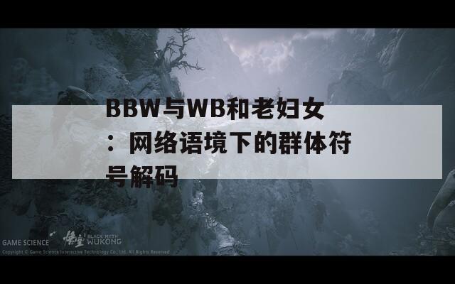 BBW与WB和老妇女：网络语境下的群体符号解码