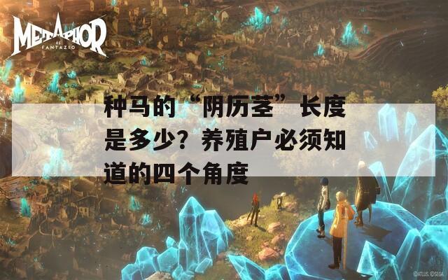 种马的“阴历茎”长度是多少？养殖户必须知道的四个角度