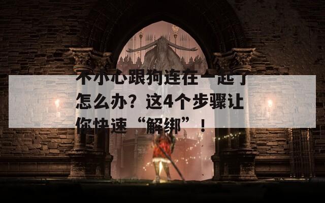 不小心跟狗连在一起了怎么办？这4个步骤让你快速“解绑”！