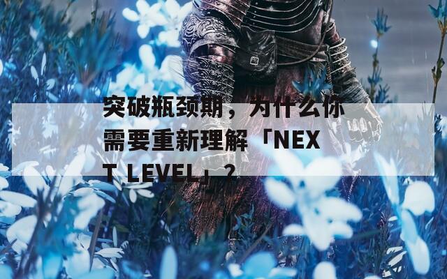 突破瓶颈期，为什么你需要重新理解「NEXT LEVEL」？