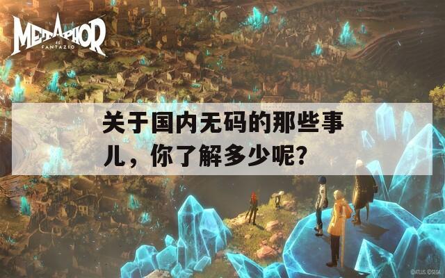 关于国内无码的那些事儿，你了解多少呢？