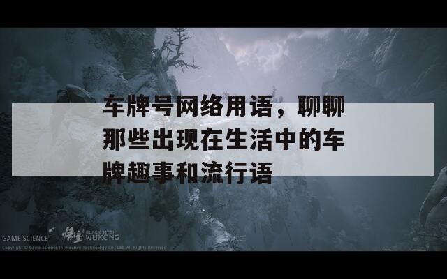 车牌号网络用语，聊聊那些出现在生活中的车牌趣事和流行语