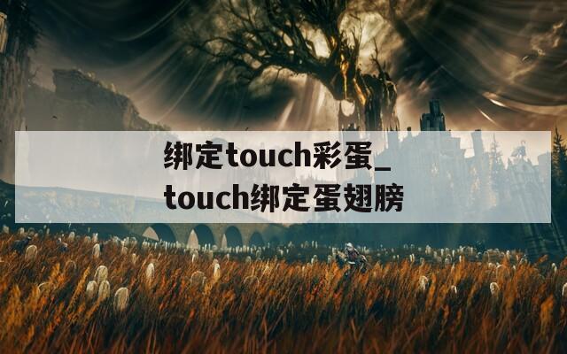 绑定touch彩蛋_touch绑定蛋翅膀