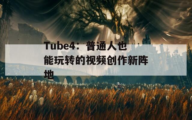 Tube4：普通人也能玩转的视频创作新阵地