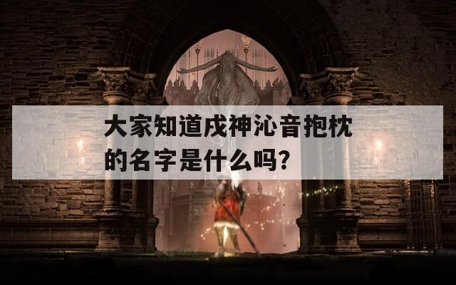 大家知道戌神沁音抱枕的名字是什么吗？