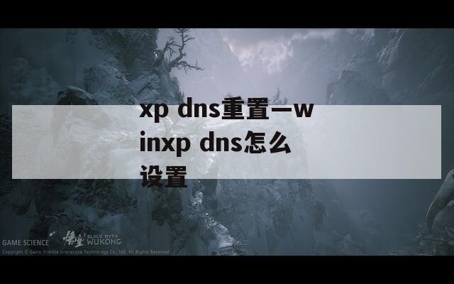 xp dns重置—winxp dns怎么设置