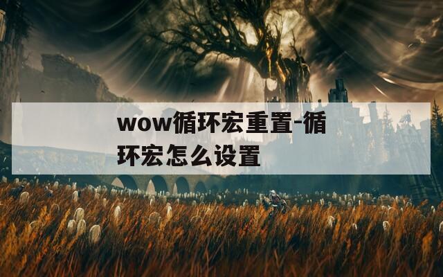 wow循环宏重置-循环宏怎么设置