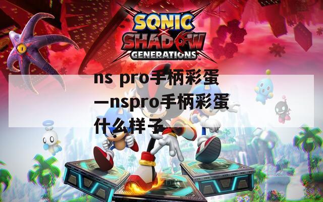 ns pro手柄彩蛋—nspro手柄彩蛋什么样子