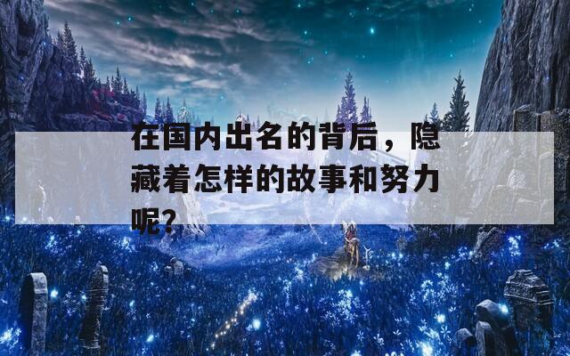 在国内出名的背后，隐藏着怎样的故事和努力呢？