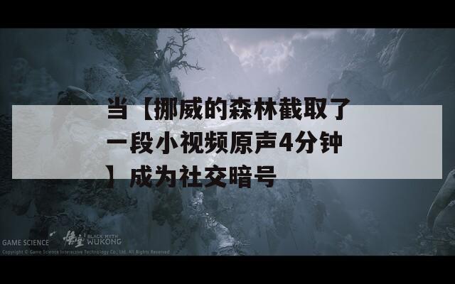 当【挪威的森林截取了一段小视频原声4分钟】成为社交暗号