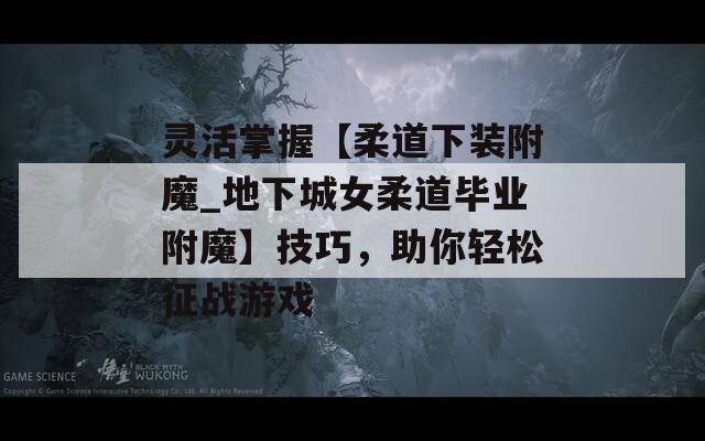 灵活掌握【柔道下装附魔_地下城女柔道毕业附魔】技巧，助你轻松征战游戏