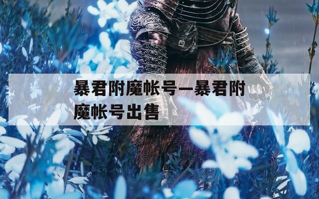 暴君附魔帐号—暴君附魔帐号出售