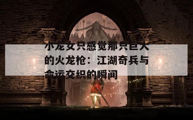 小龙女只感觉那只巨大的火龙枪：江湖奇兵与命运交织的瞬间