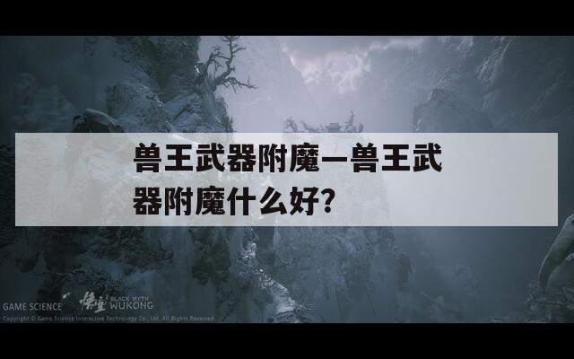 兽王武器附魔—兽王武器附魔什么好？